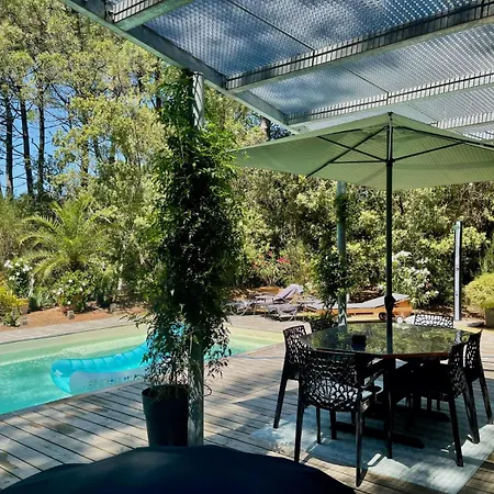 Arcachon-moulleau Belle Avec Piscine Et Jardin Prives * La Teste-de-Buch